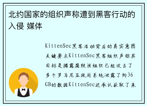 北约国家的组织声称遭到黑客行动的入侵 媒体