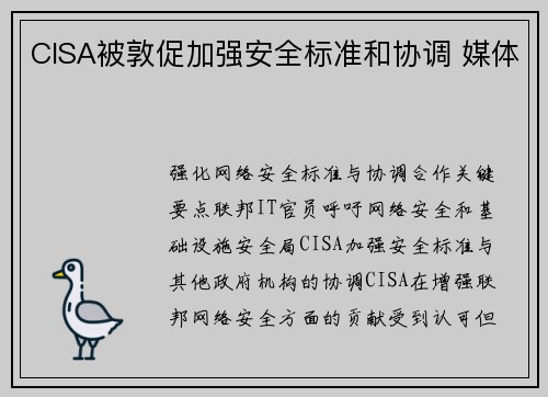 CISA被敦促加强安全标准和协调 媒体