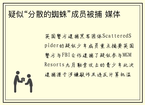 疑似“分散的蜘蛛”成员被捕 媒体